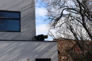 Buywise building inspector assessing exterior areas from the rooftop during a site inspection in the Casey region.